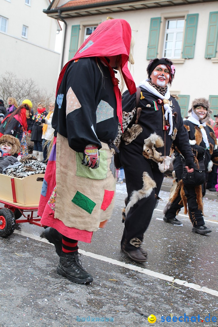 Rosenmontagsumzug: Gottmadingen am Bodensee, 11.02.2013