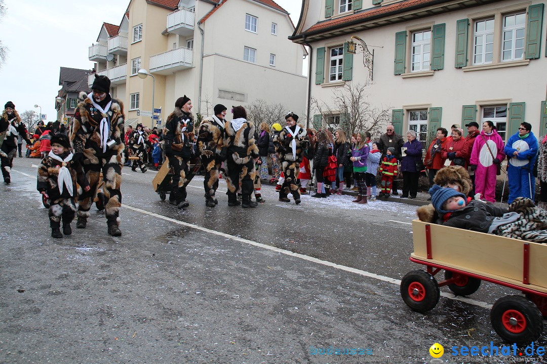 Rosenmontagsumzug: Gottmadingen am Bodensee, 11.02.2013