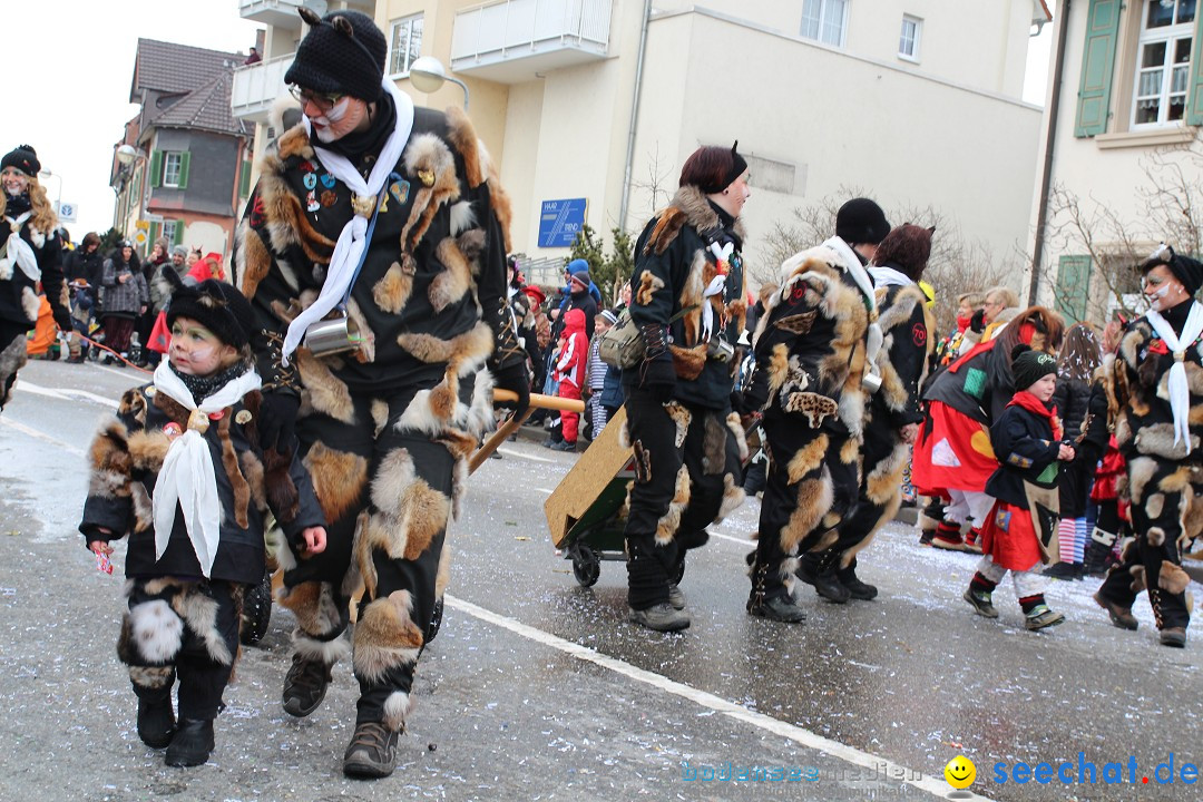 Rosenmontagsumzug: Gottmadingen am Bodensee, 11.02.2013