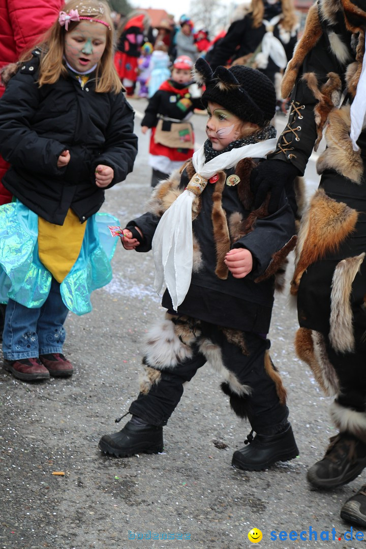 Rosenmontagsumzug: Gottmadingen am Bodensee, 11.02.2013