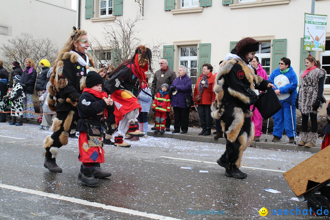 Rosenmontagsumzug: Gottmadingen am Bodensee, 11.02.2013