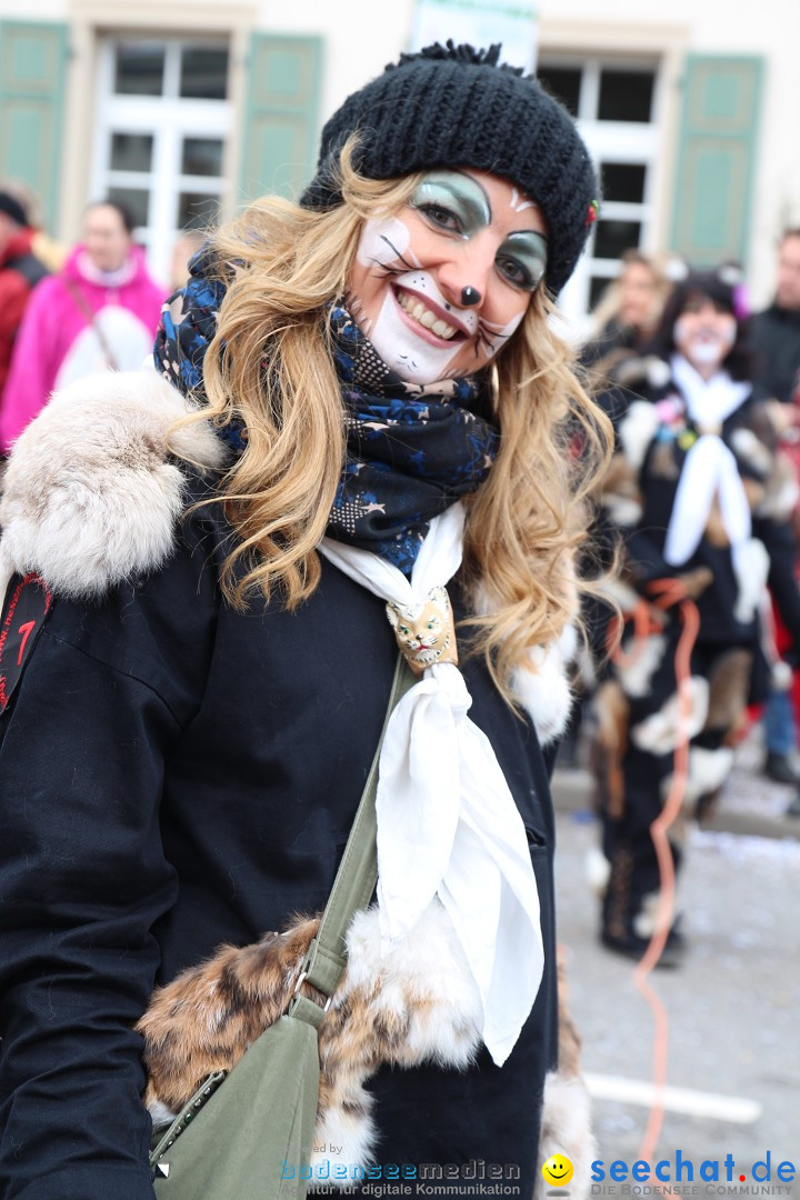 Rosenmontagsumzug: Gottmadingen am Bodensee, 11.02.2013