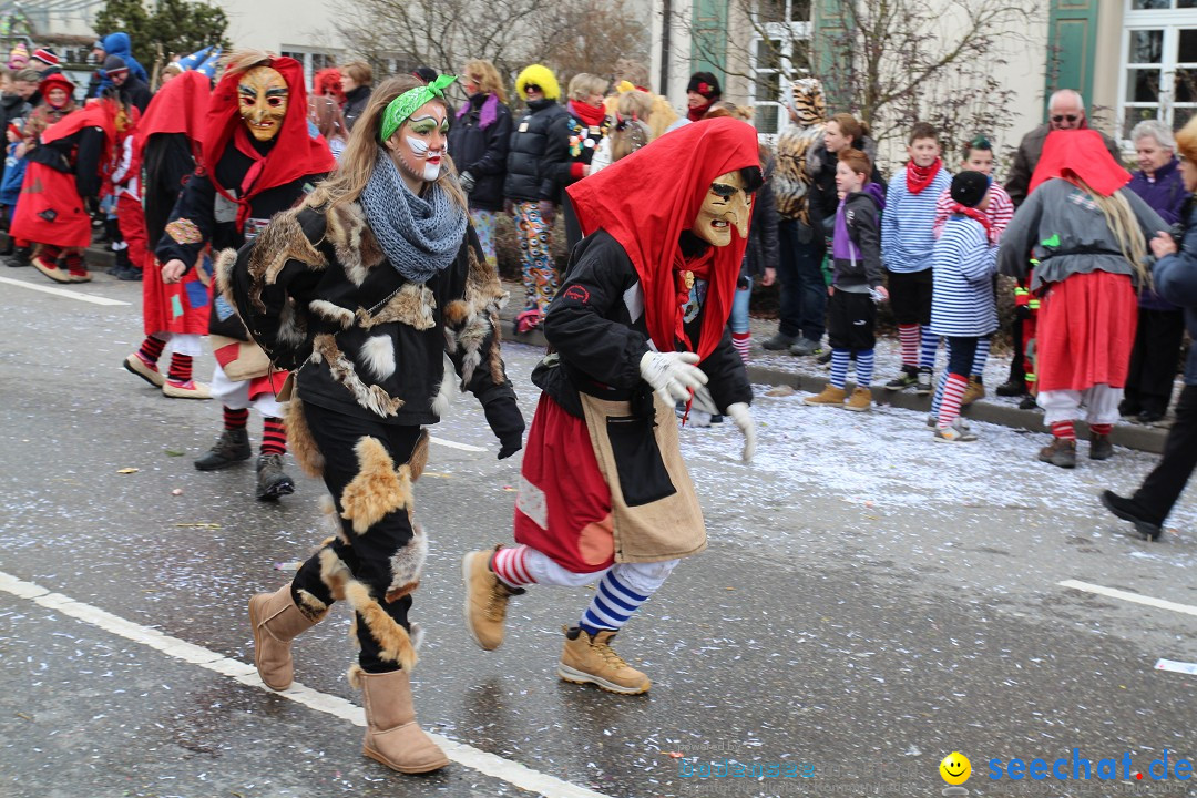 Rosenmontagsumzug: Gottmadingen am Bodensee, 11.02.2013