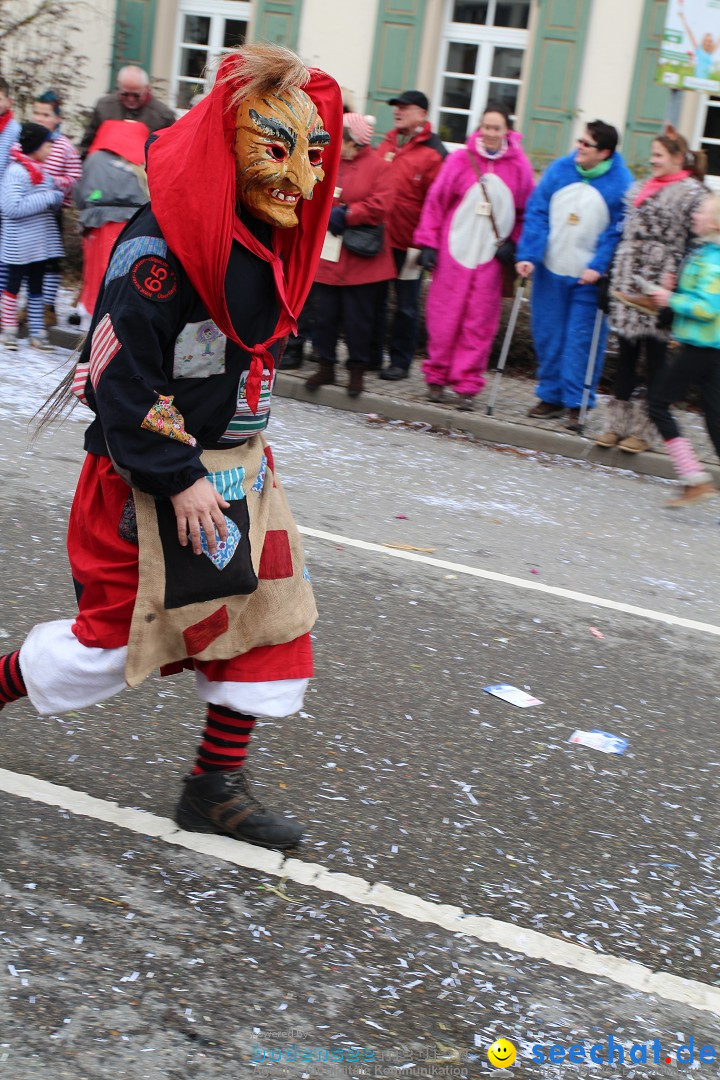 Rosenmontagsumzug: Gottmadingen am Bodensee, 11.02.2013