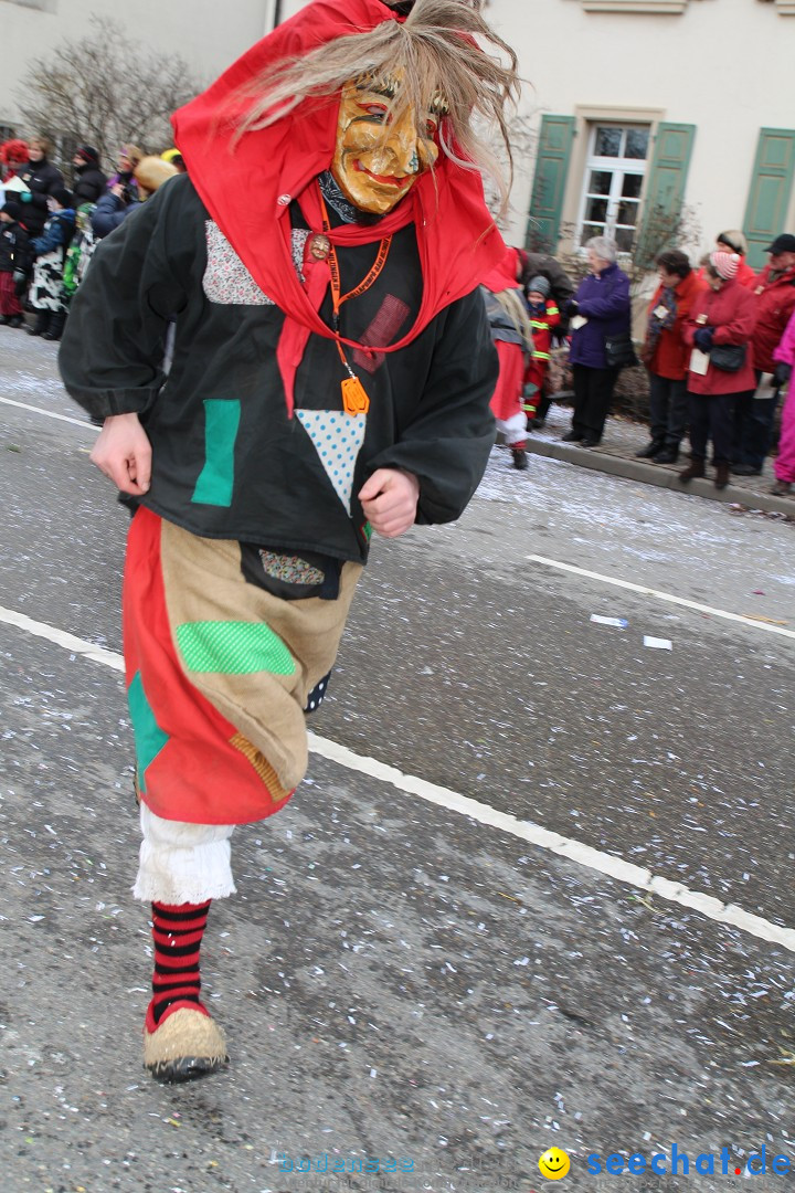 Rosenmontagsumzug: Gottmadingen am Bodensee, 11.02.2013