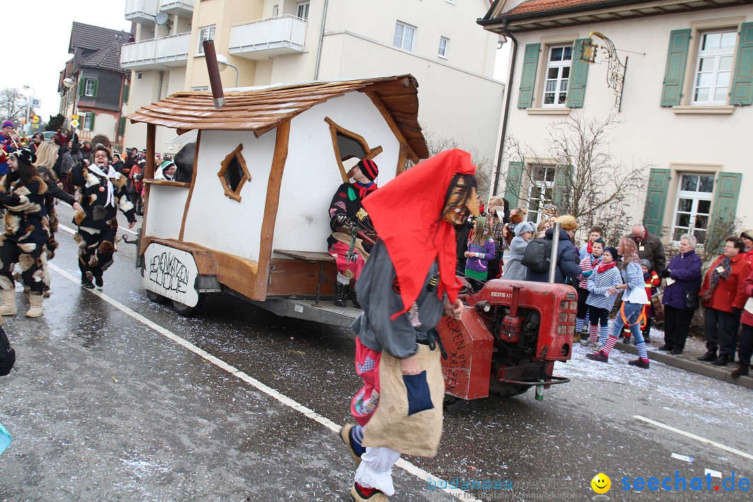 Rosenmontagsumzug: Gottmadingen am Bodensee, 11.02.2013