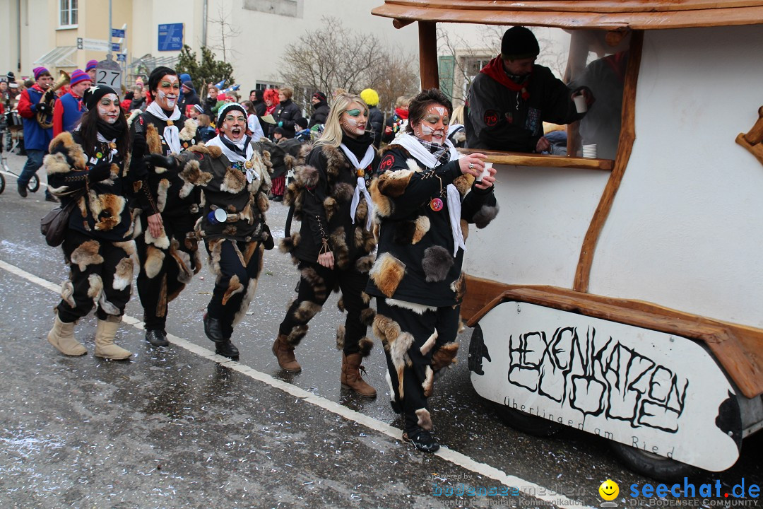 Rosenmontagsumzug: Gottmadingen am Bodensee, 11.02.2013