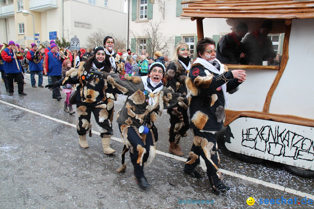 Rosenmontagsumzug: Gottmadingen am Bodensee, 11.02.2013