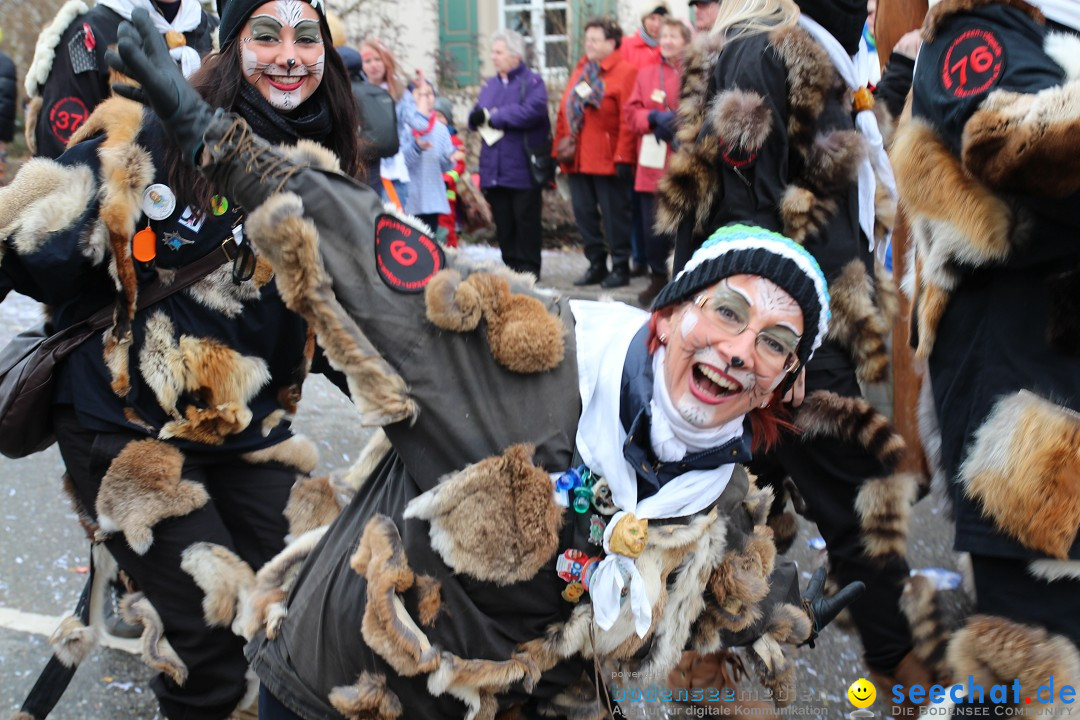 Rosenmontagsumzug: Gottmadingen am Bodensee, 11.02.2013