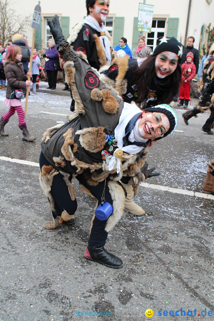 Rosenmontagsumzug: Gottmadingen am Bodensee, 11.02.2013