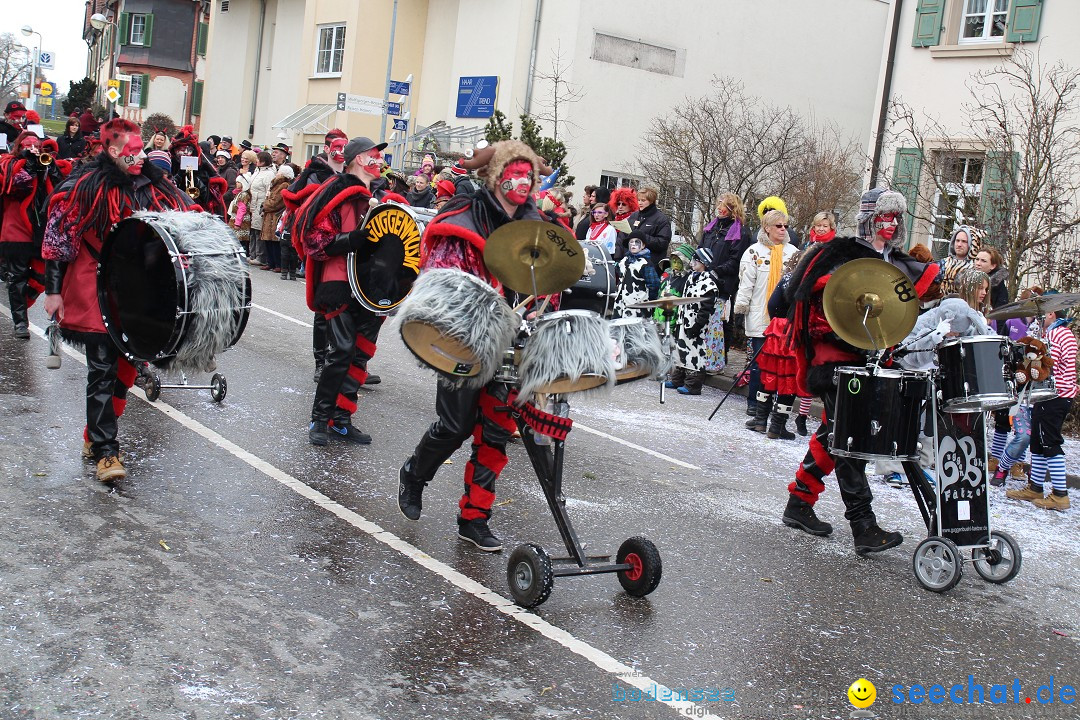 Rosenmontagsumzug: Gottmadingen am Bodensee, 11.02.2013