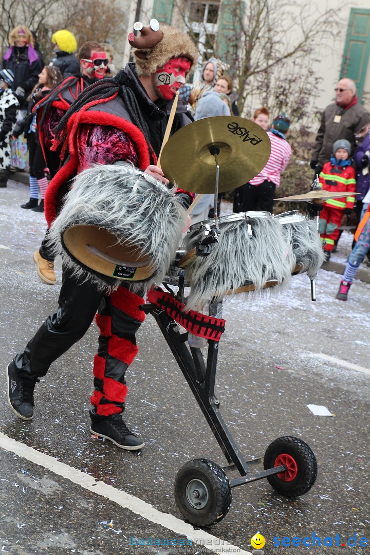 Rosenmontagsumzug: Gottmadingen am Bodensee, 11.02.2013