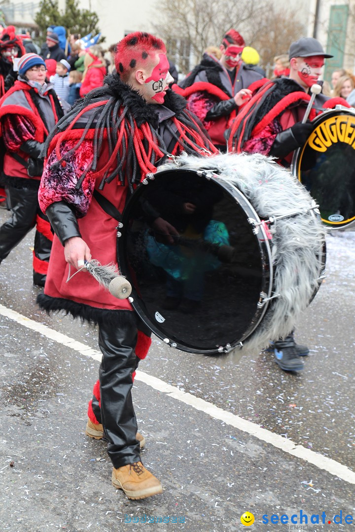 Rosenmontagsumzug: Gottmadingen am Bodensee, 11.02.2013