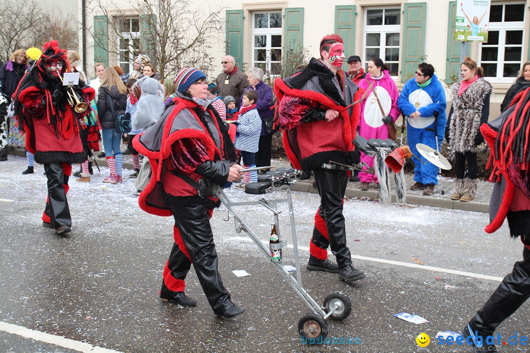 Rosenmontagsumzug: Gottmadingen am Bodensee, 11.02.2013