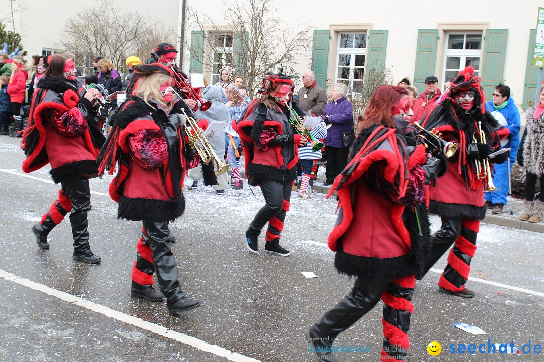 Rosenmontagsumzug: Gottmadingen am Bodensee, 11.02.2013