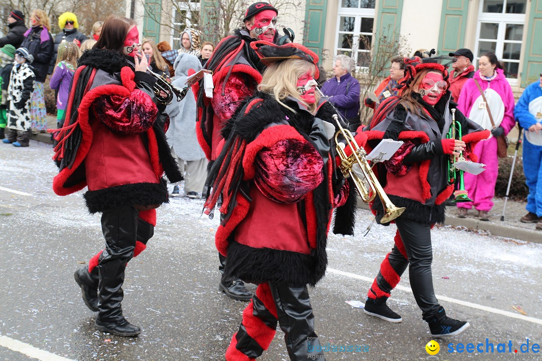 Rosenmontagsumzug: Gottmadingen am Bodensee, 11.02.2013