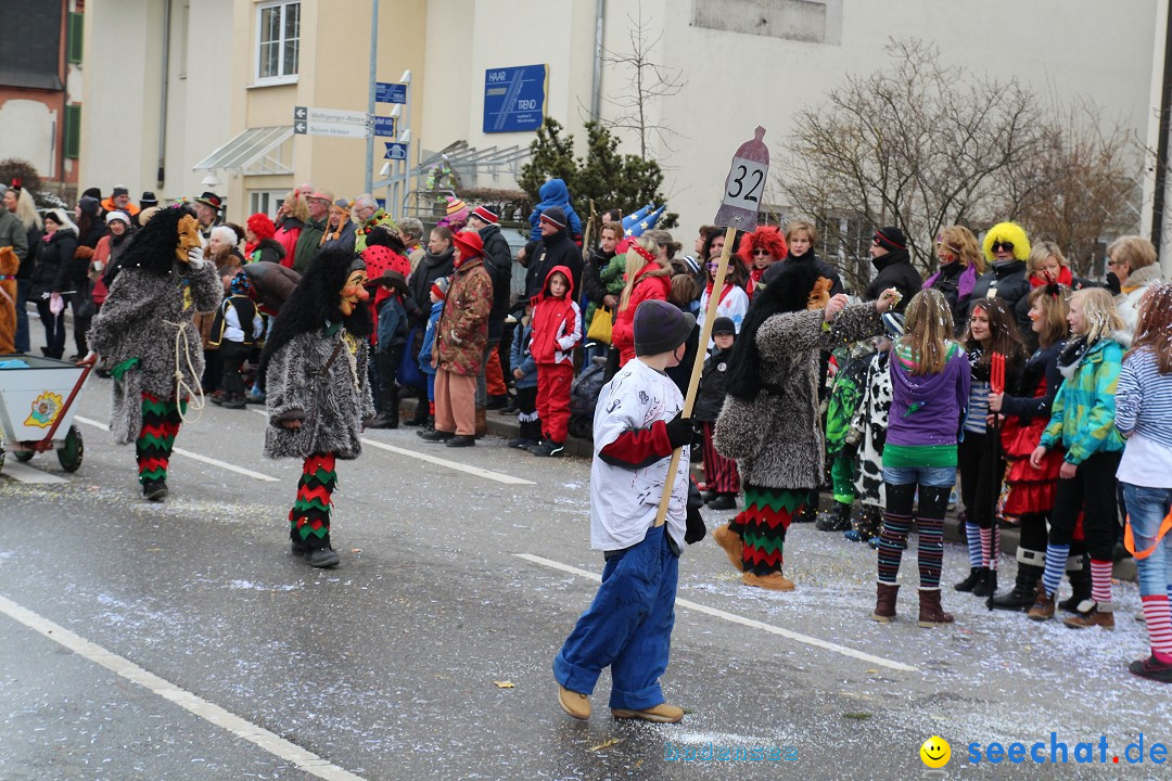 Rosenmontagsumzug: Gottmadingen am Bodensee, 11.02.2013