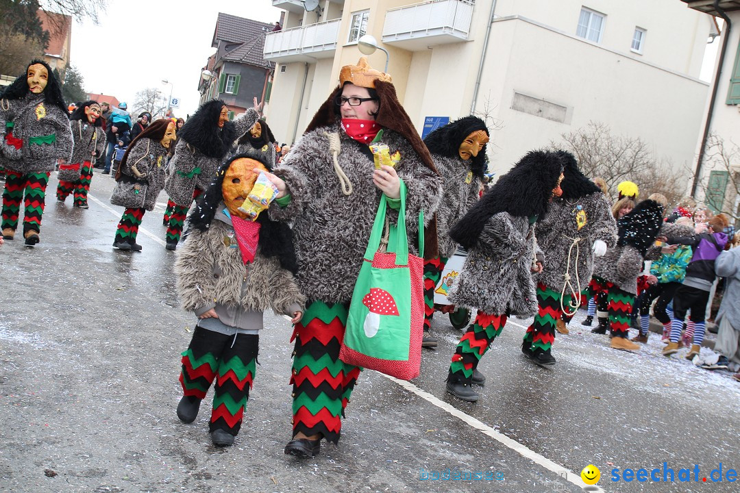 Rosenmontagsumzug: Gottmadingen am Bodensee, 11.02.2013