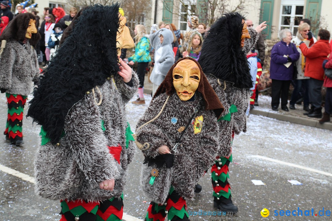 Rosenmontagsumzug: Gottmadingen am Bodensee, 11.02.2013