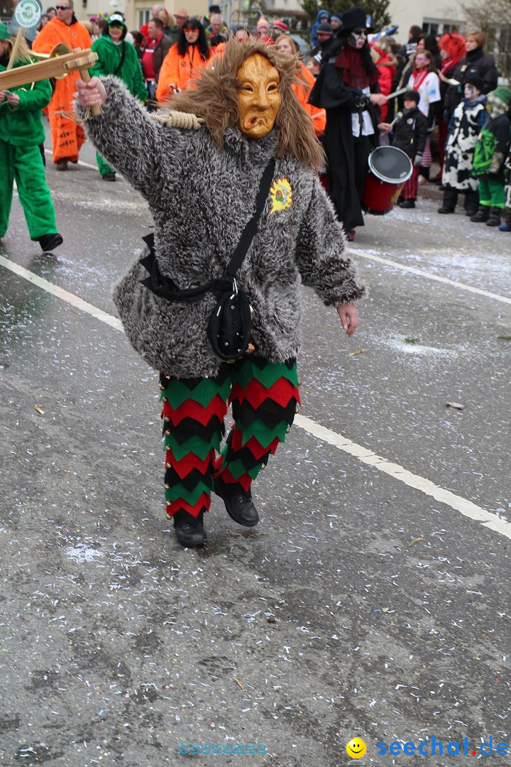 Rosenmontagsumzug: Gottmadingen am Bodensee, 11.02.2013