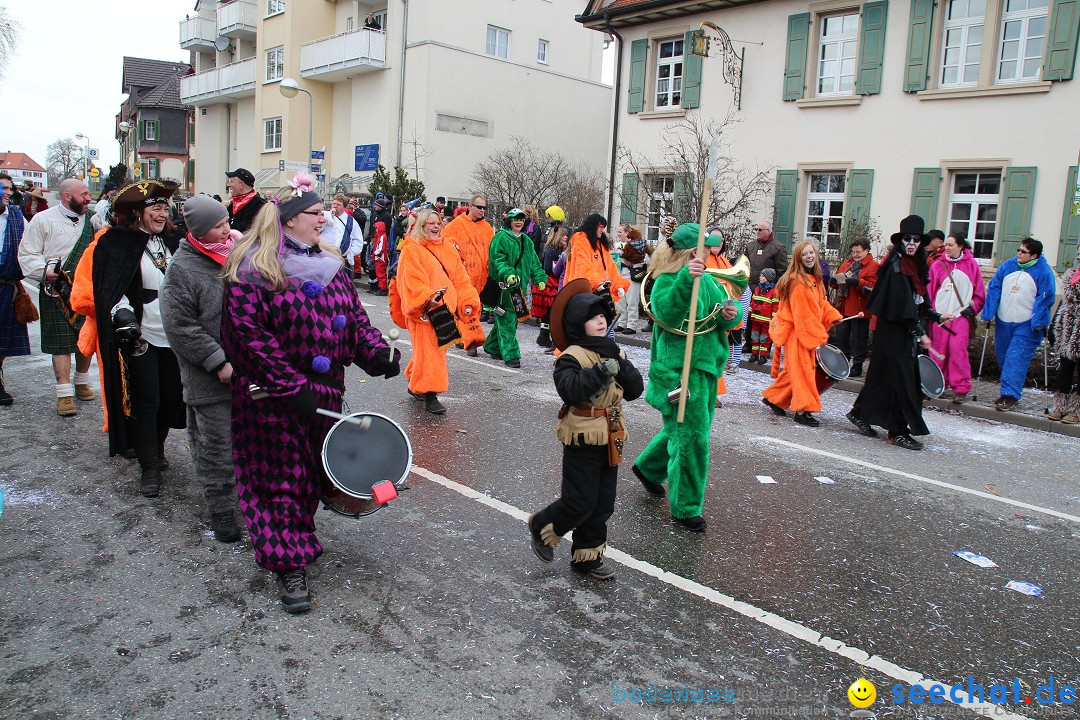 Rosenmontagsumzug: Gottmadingen am Bodensee, 11.02.2013