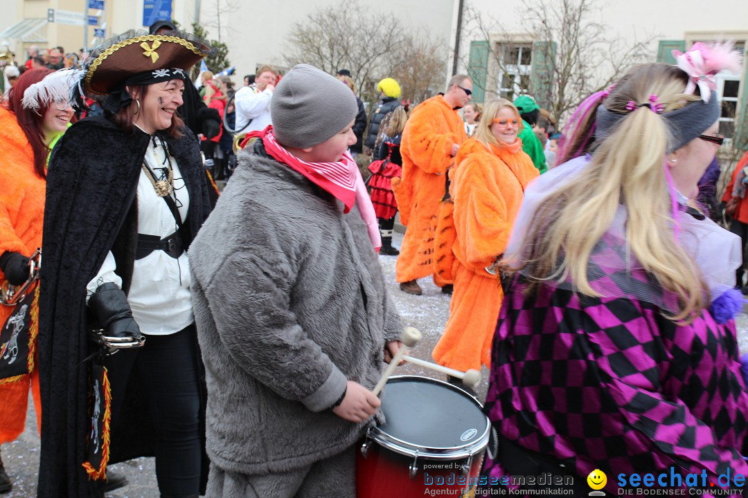 Rosenmontagsumzug: Gottmadingen am Bodensee, 11.02.2013