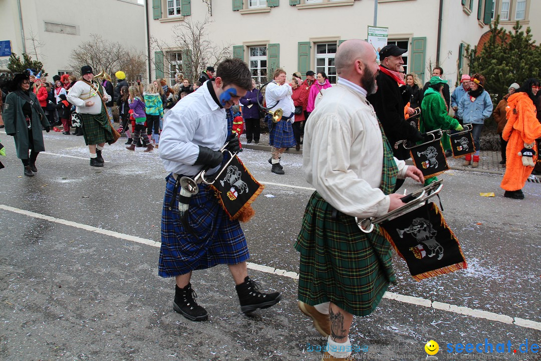 Rosenmontagsumzug: Gottmadingen am Bodensee, 11.02.2013