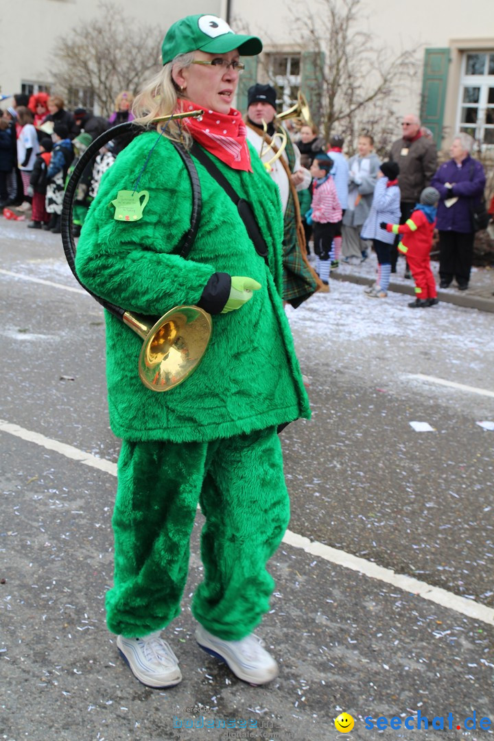 Rosenmontagsumzug: Gottmadingen am Bodensee, 11.02.2013