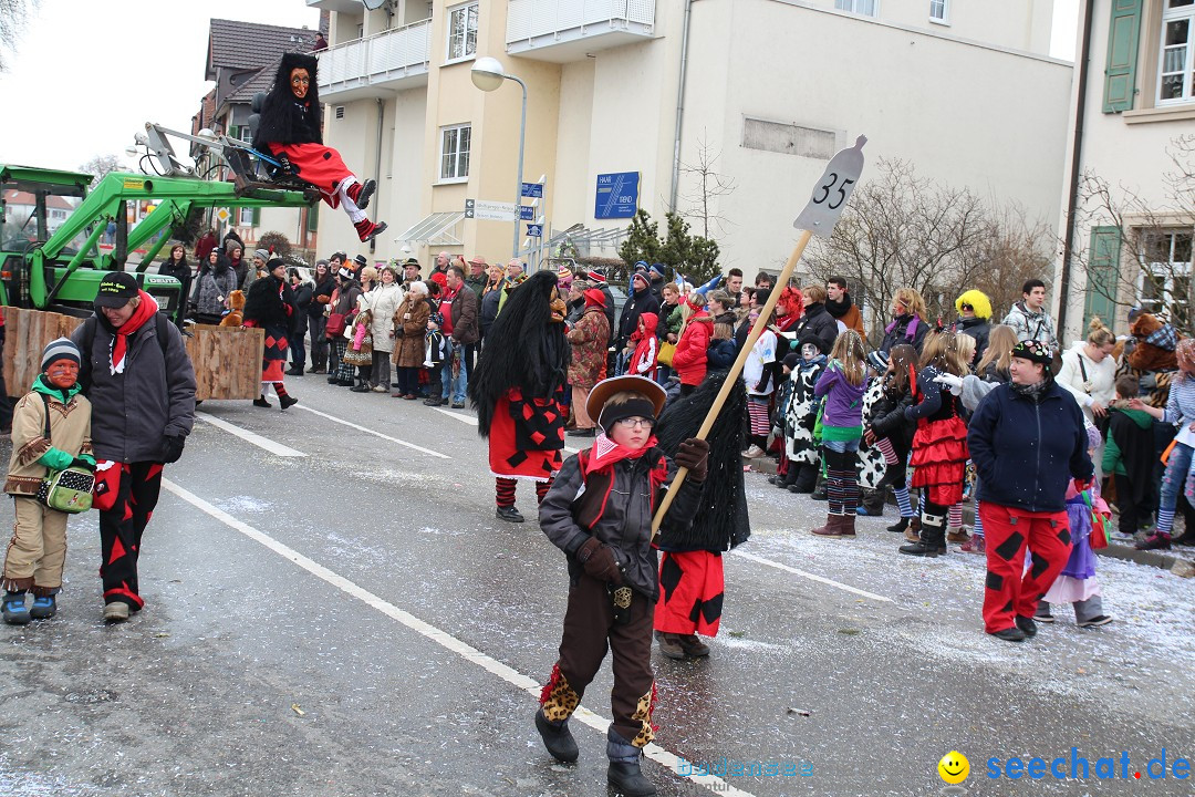 Rosenmontagsumzug: Gottmadingen am Bodensee, 11.02.2013