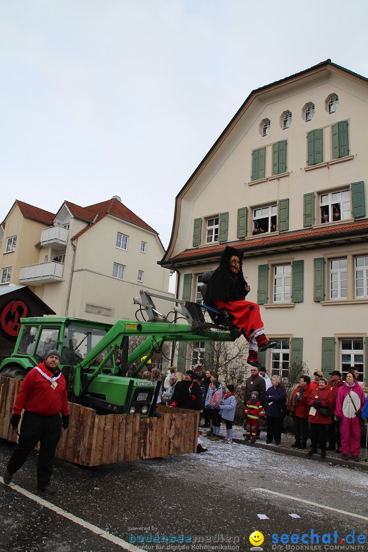 Rosenmontagsumzug: Gottmadingen am Bodensee, 11.02.2013