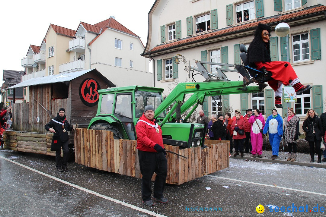 Rosenmontagsumzug: Gottmadingen am Bodensee, 11.02.2013