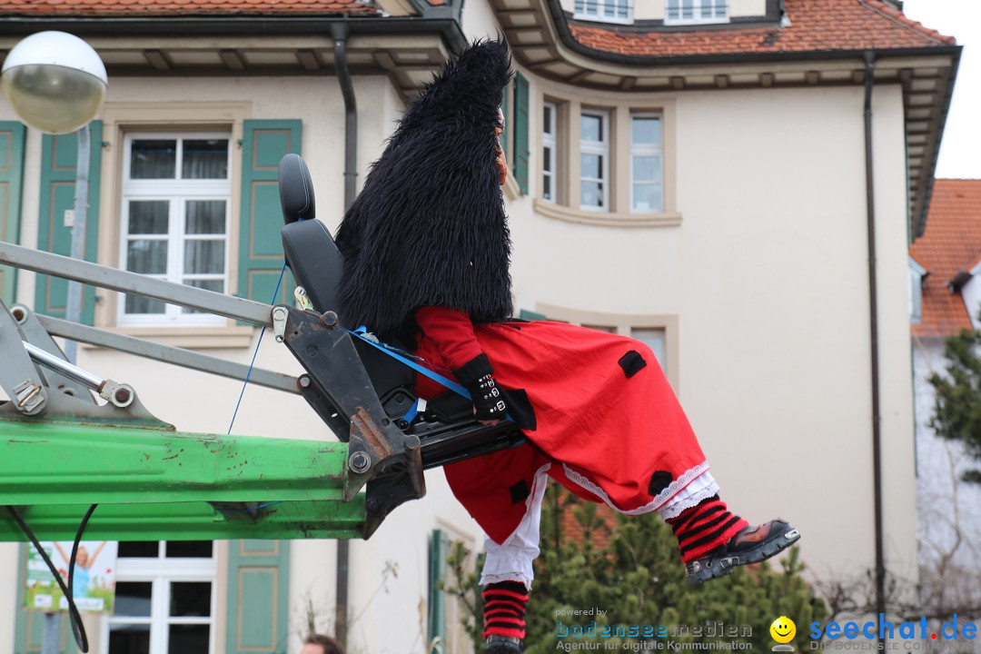 Rosenmontagsumzug: Gottmadingen am Bodensee, 11.02.2013