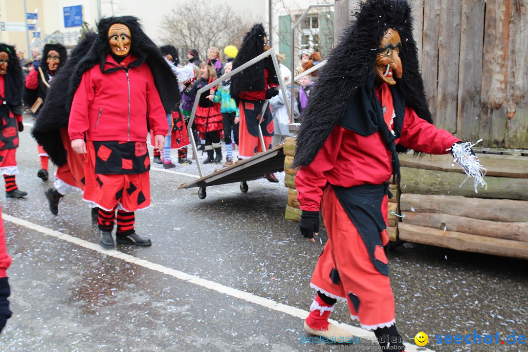 Rosenmontagsumzug: Gottmadingen am Bodensee, 11.02.2013