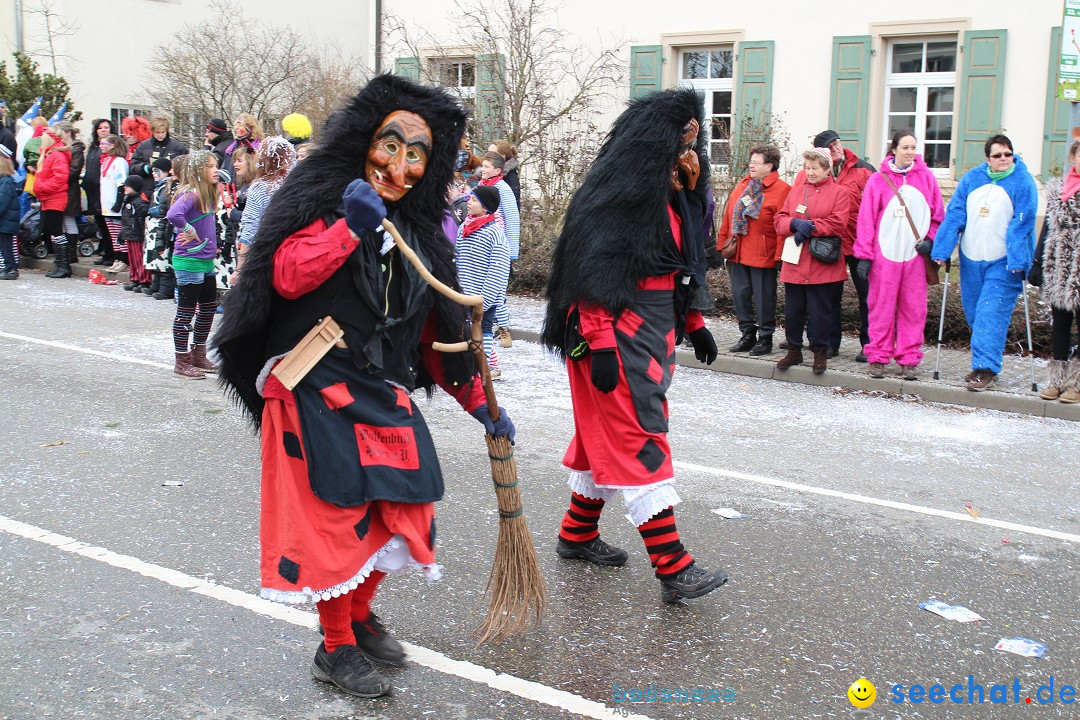 Rosenmontagsumzug: Gottmadingen am Bodensee, 11.02.2013