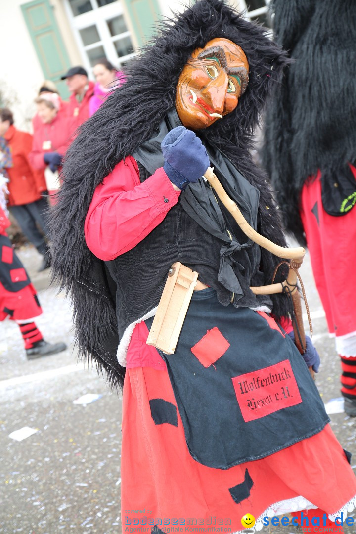 Rosenmontagsumzug: Gottmadingen am Bodensee, 11.02.2013