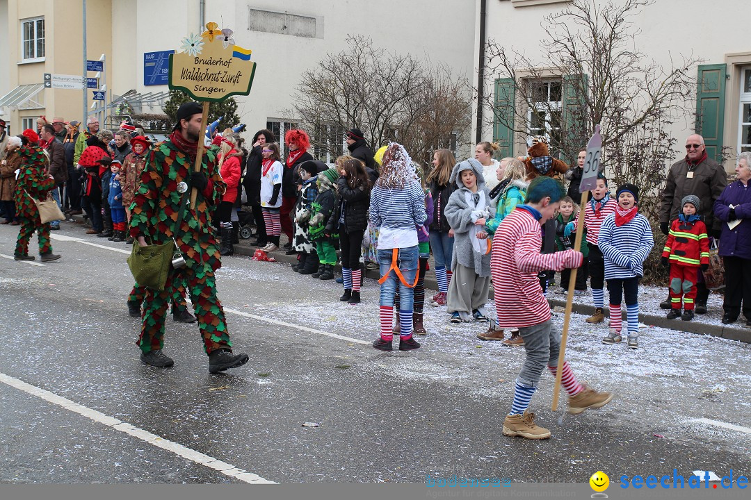 Rosenmontagsumzug: Gottmadingen am Bodensee, 11.02.2013