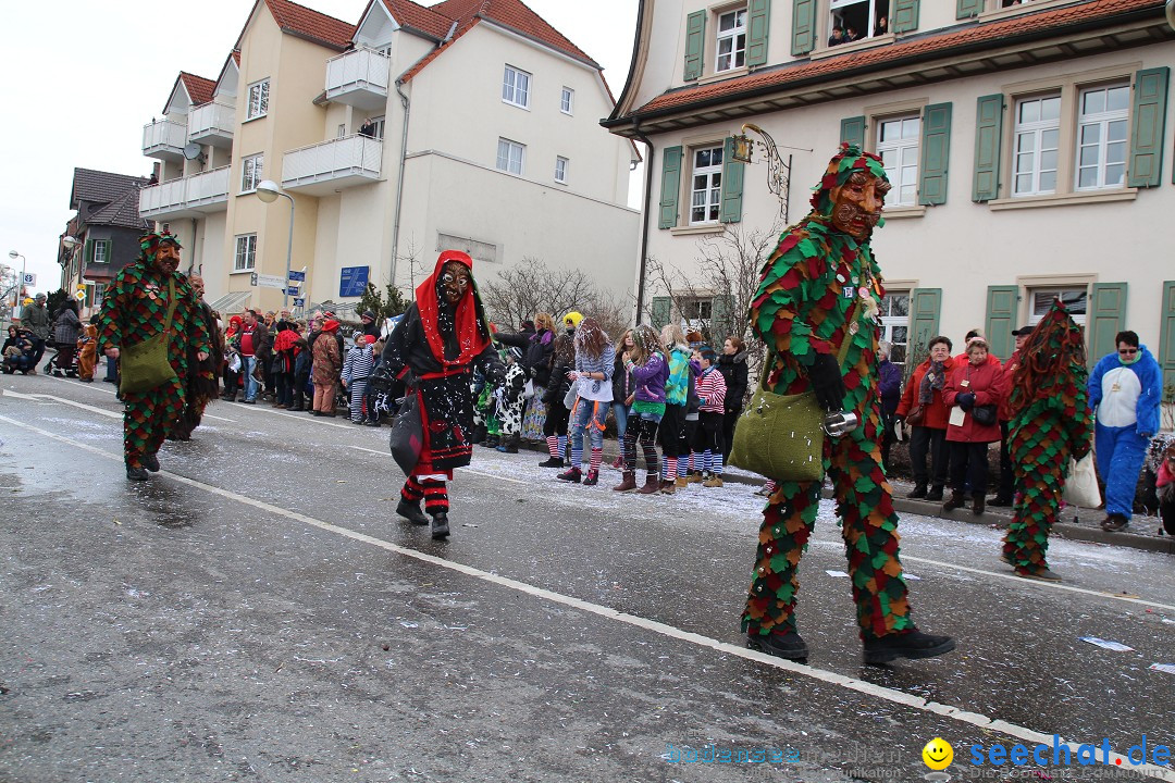 Rosenmontagsumzug: Gottmadingen am Bodensee, 11.02.2013