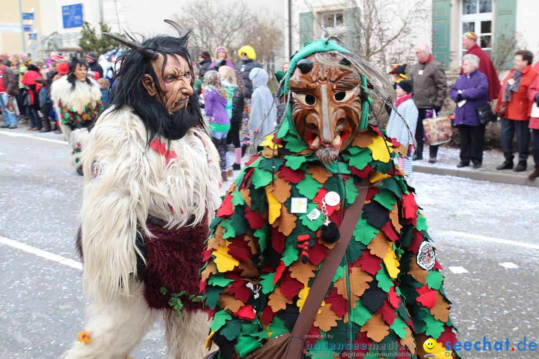 Rosenmontagsumzug: Gottmadingen am Bodensee, 11.02.2013