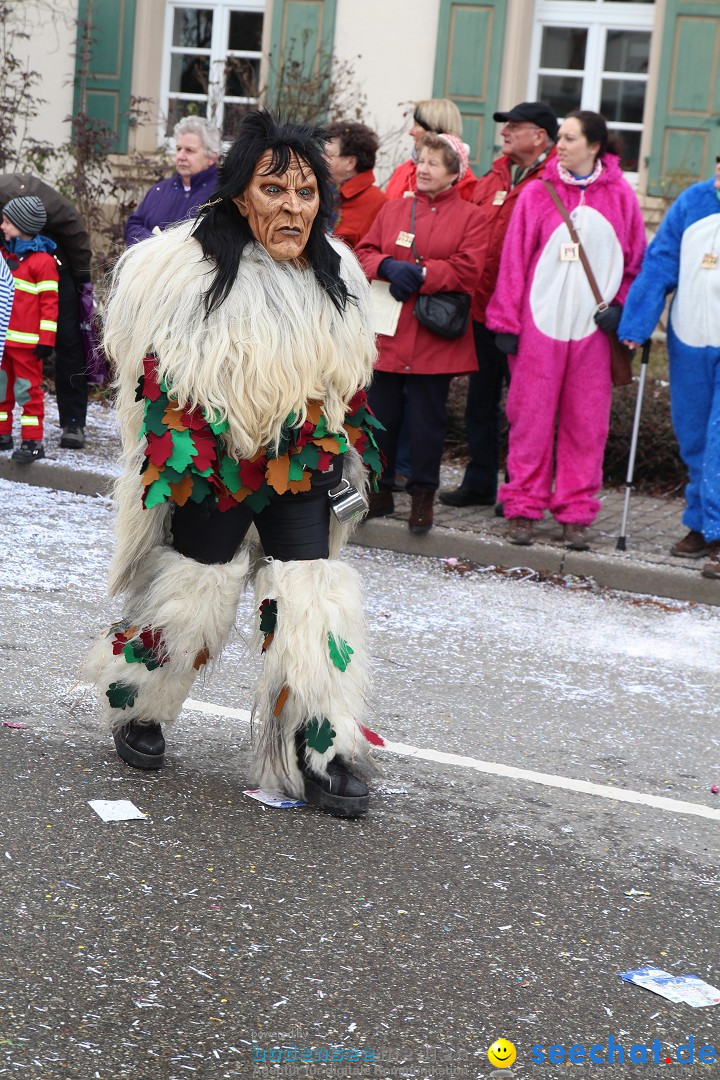 Rosenmontagsumzug: Gottmadingen am Bodensee, 11.02.2013