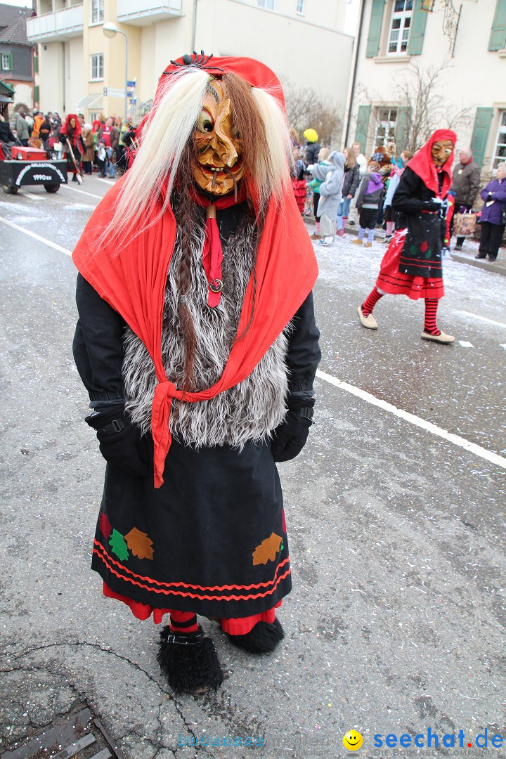 Rosenmontagsumzug: Gottmadingen am Bodensee, 11.02.2013