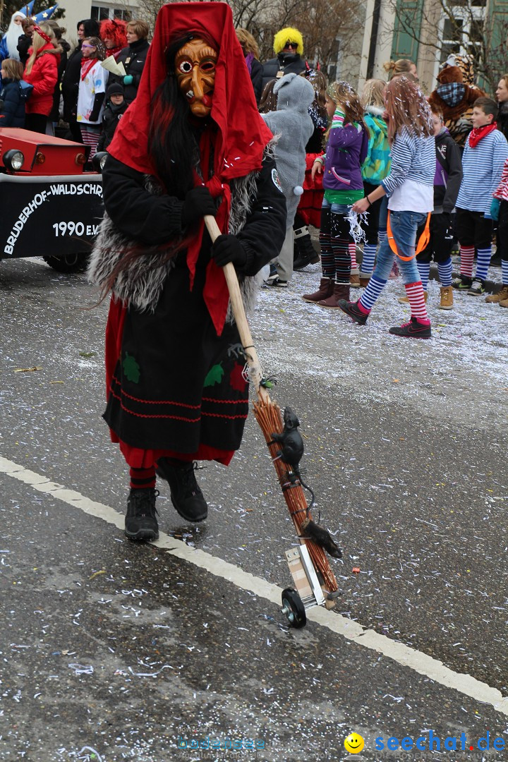 Rosenmontagsumzug: Gottmadingen am Bodensee, 11.02.2013