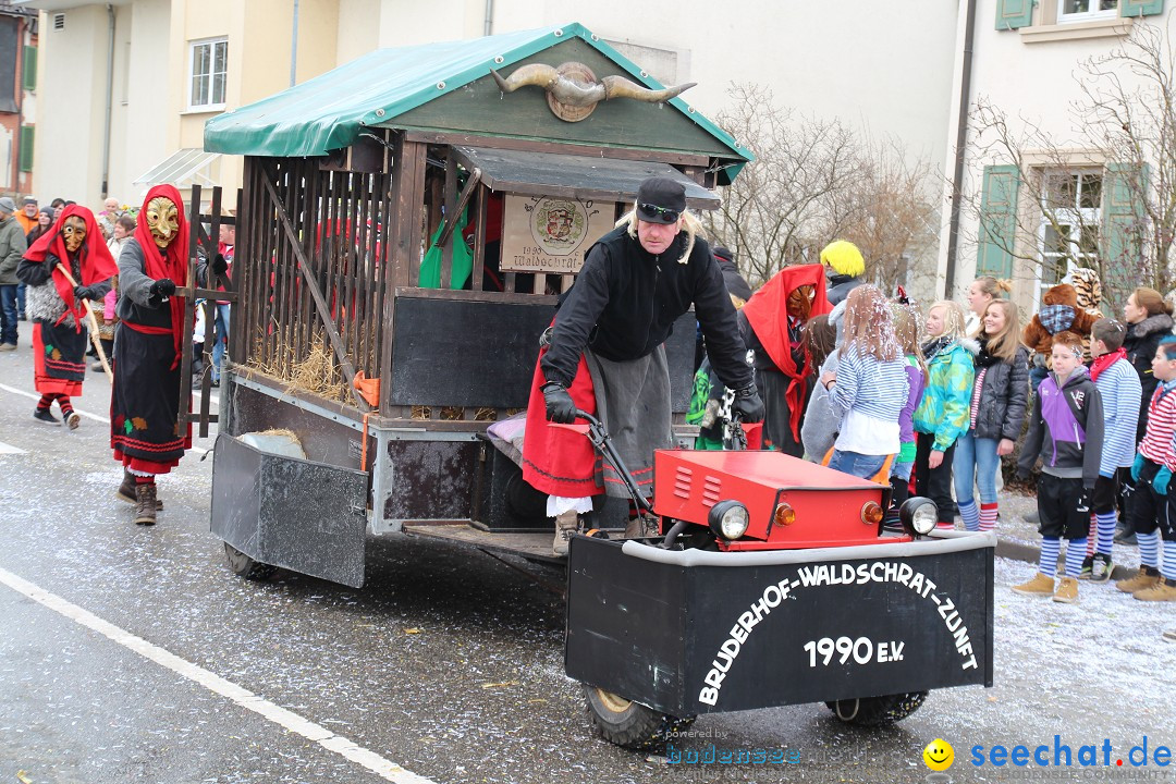 Rosenmontagsumzug: Gottmadingen am Bodensee, 11.02.2013