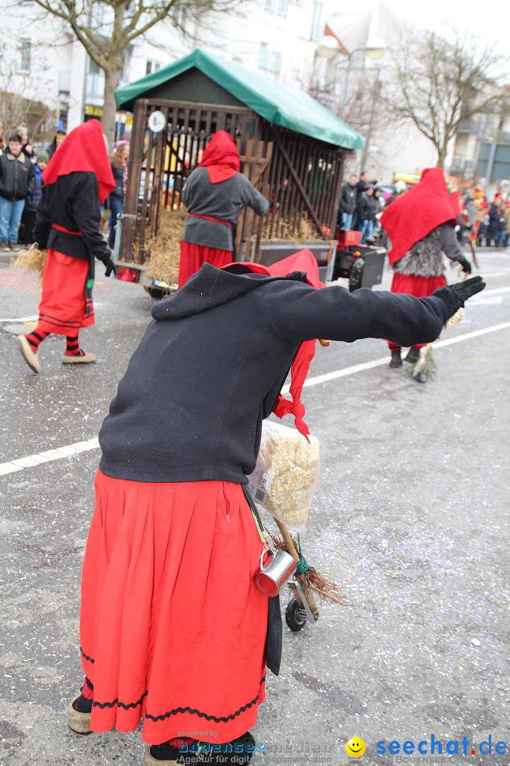 Rosenmontagsumzug: Gottmadingen am Bodensee, 11.02.2013