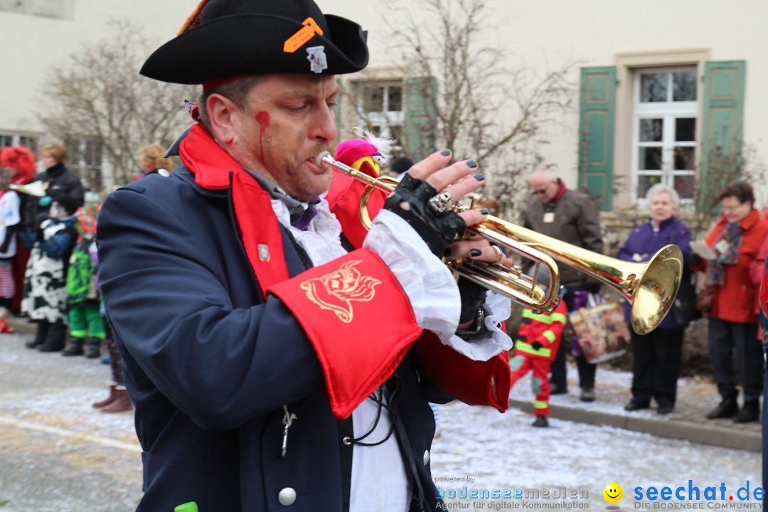 Rosenmontagsumzug: Gottmadingen am Bodensee, 11.02.2013