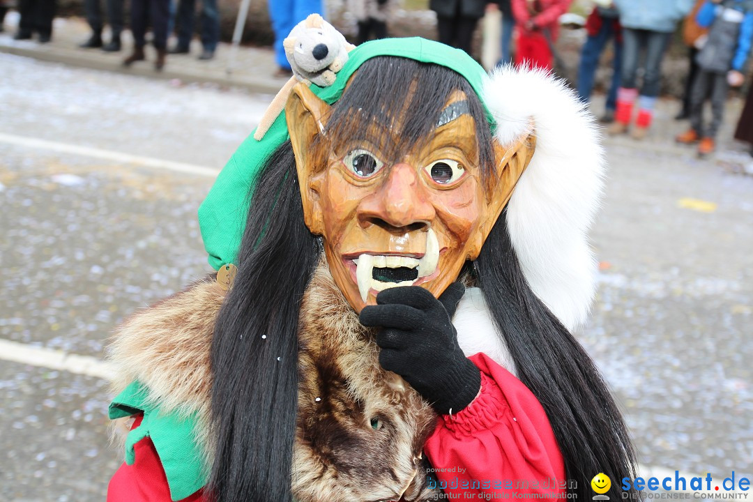 Rosenmontagsumzug: Gottmadingen am Bodensee, 11.02.2013