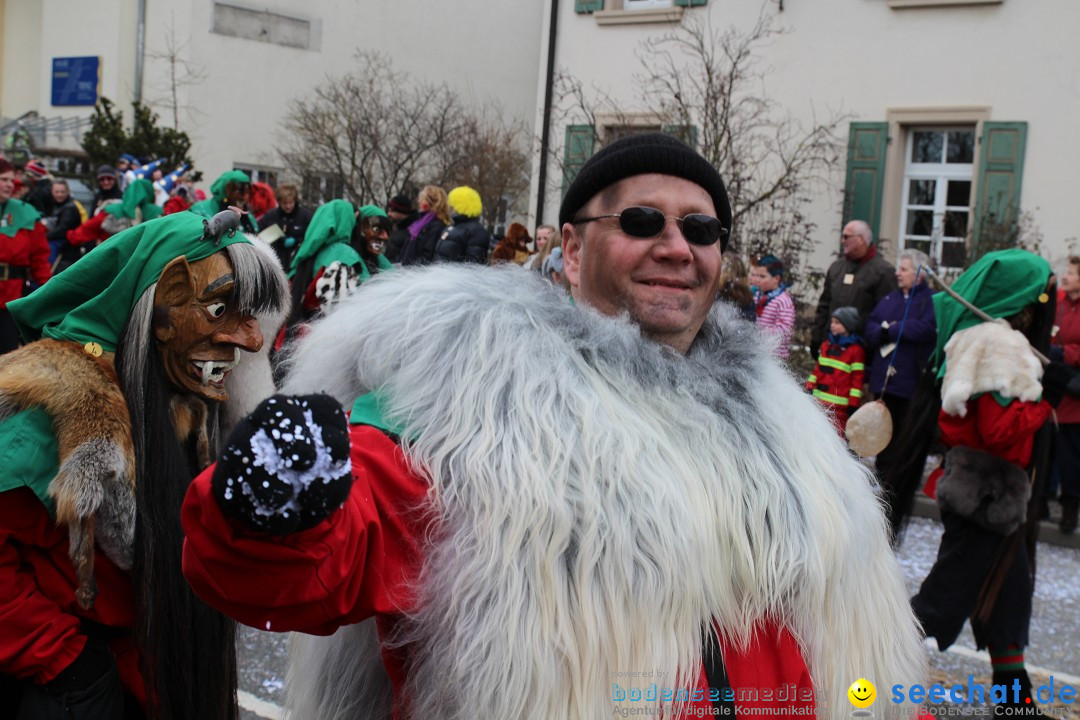 Rosenmontagsumzug: Gottmadingen am Bodensee, 11.02.2013