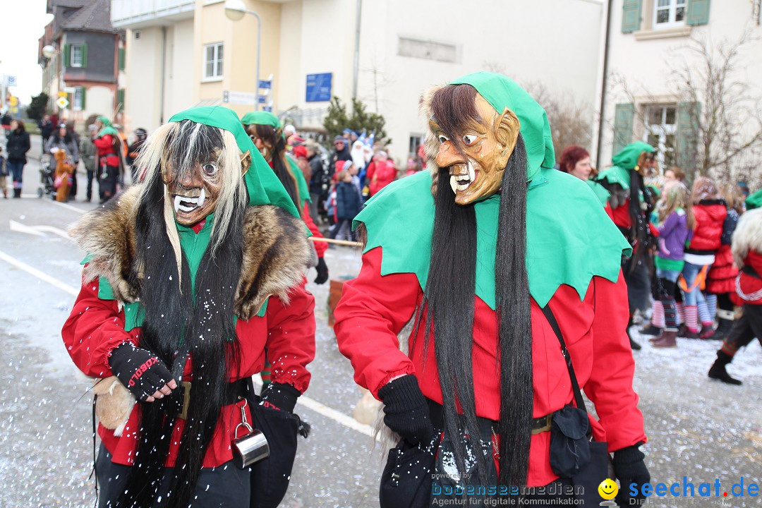 Rosenmontagsumzug: Gottmadingen am Bodensee, 11.02.2013