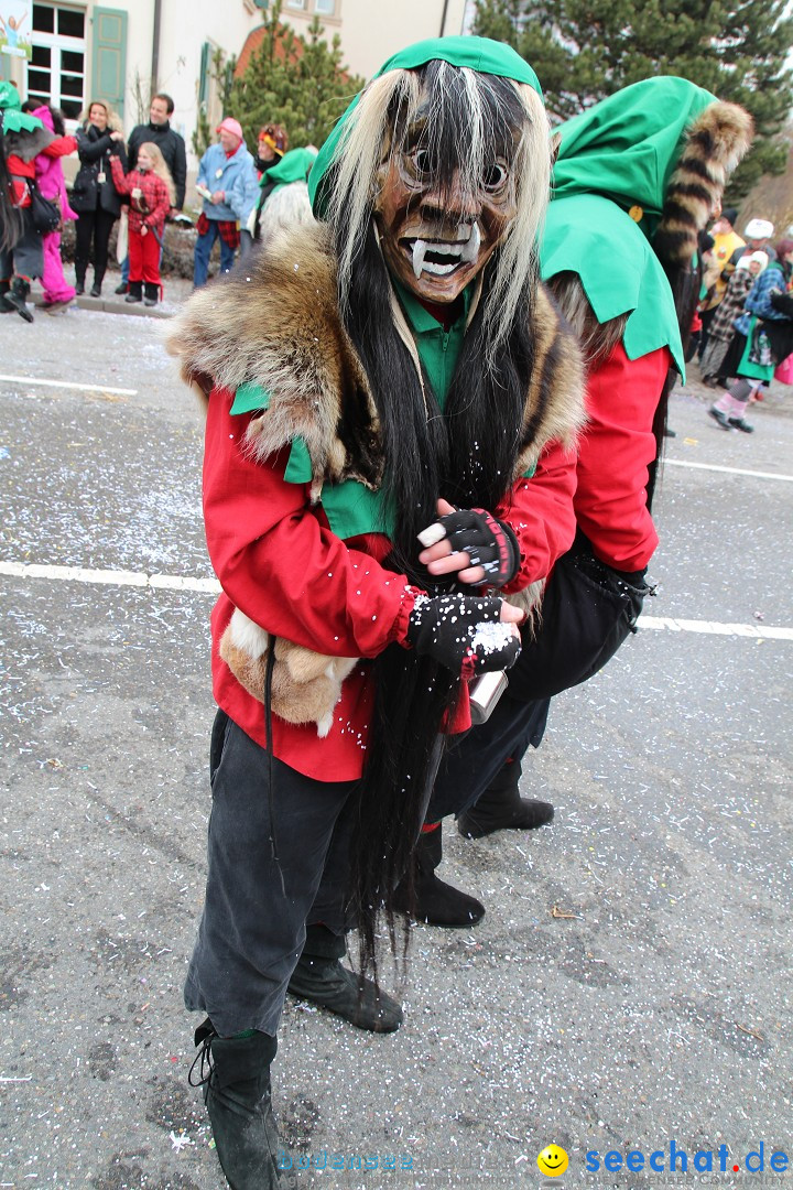 Rosenmontagsumzug: Gottmadingen am Bodensee, 11.02.2013