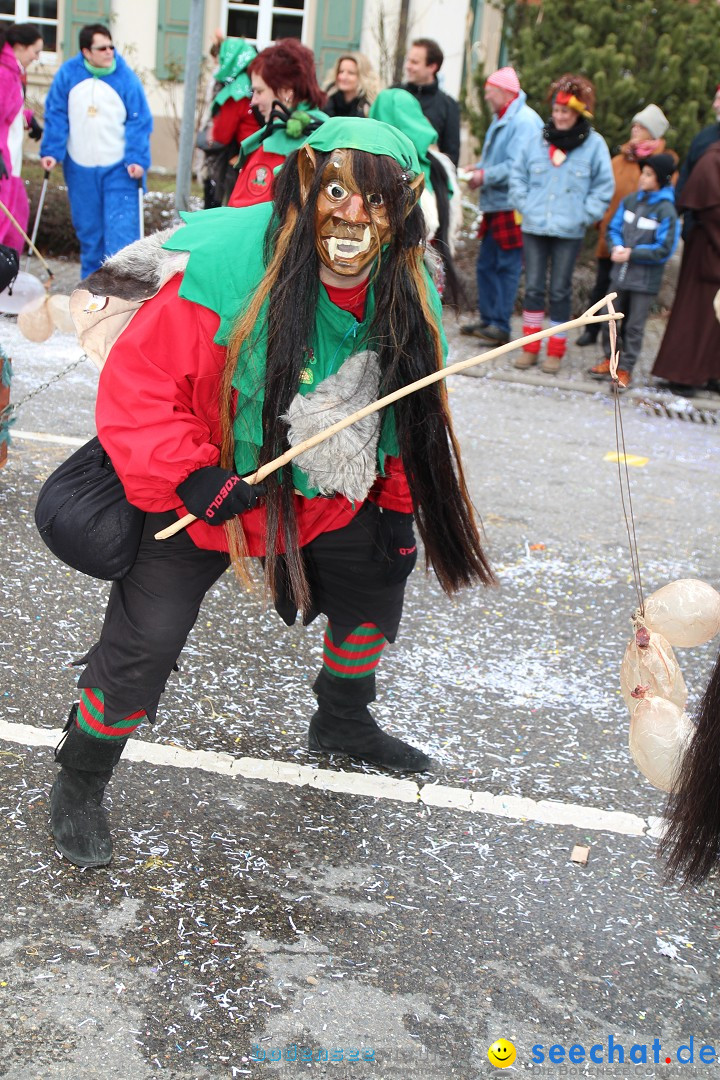 Rosenmontagsumzug: Gottmadingen am Bodensee, 11.02.2013