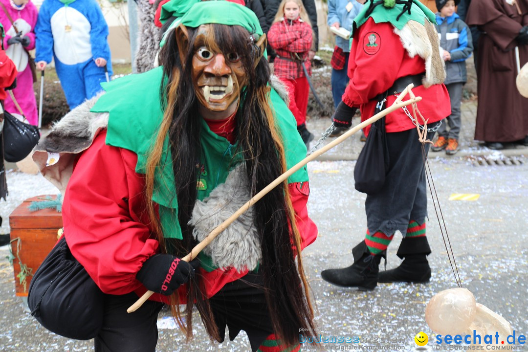 Rosenmontagsumzug: Gottmadingen am Bodensee, 11.02.2013